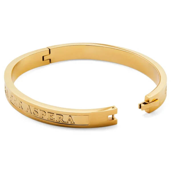 Lucleon Bracelet Jonc Arie Ad Astra Doré 4