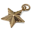 Lucleon Amulette étoile En Acier Doré 10