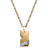 Lucleon Collier Moderne à Plaque Militaire Gigogne Couleur Argent Et Or 17
