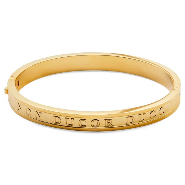 Lucleon Bracelet Jonc Duco Doré Arie 1