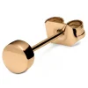 Lucleon Boucle D’oreille « bouton » En Acier Rosegold 4 Mm 13