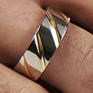 Fort Tempus Anneau Unique En Titane Argenté / Doré 15